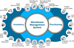 Procurement System Software in Lahore Karachi Islamabad Pakistan