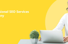 professional seo services company 1