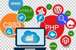 website-development-web-design-web-developer-web-application-development