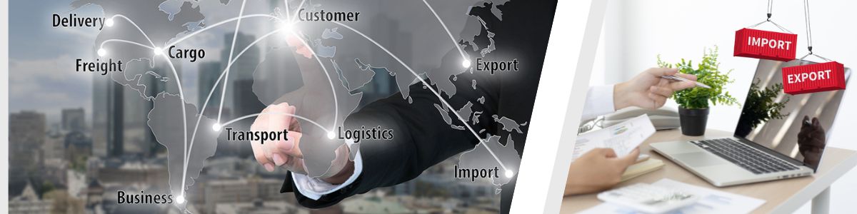 Import Export Business ERP software-nizisolutions.com